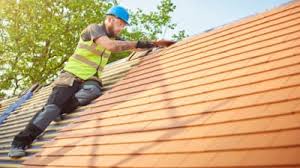 Best Sheet Metal Roofing  in Bodfish, CA