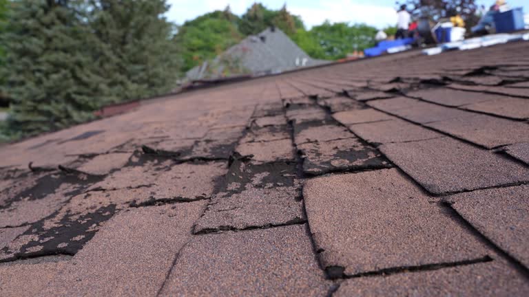 Best Gutter Installation and Repair  in Bodfish, CA